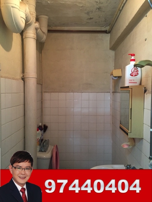 Blk 58 Circuit Road (Geylang), HDB 3 Rooms #97493312